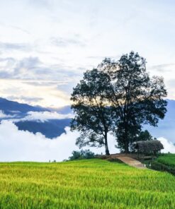 TOUR SAPA – Y TÝ