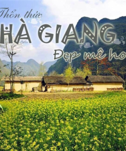 TOUR BẮC QUANG - HOÀNG SU PHÌ - XÍN MẦN - BẮC HÀ